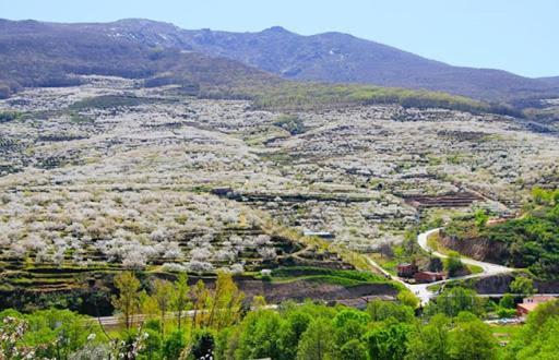 Casas Rurales El Cerro Y El Cerezo Navaconcejo Exteriör bild