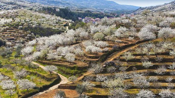 Casas Rurales El Cerro Y El Cerezo Navaconcejo Exteriör bild