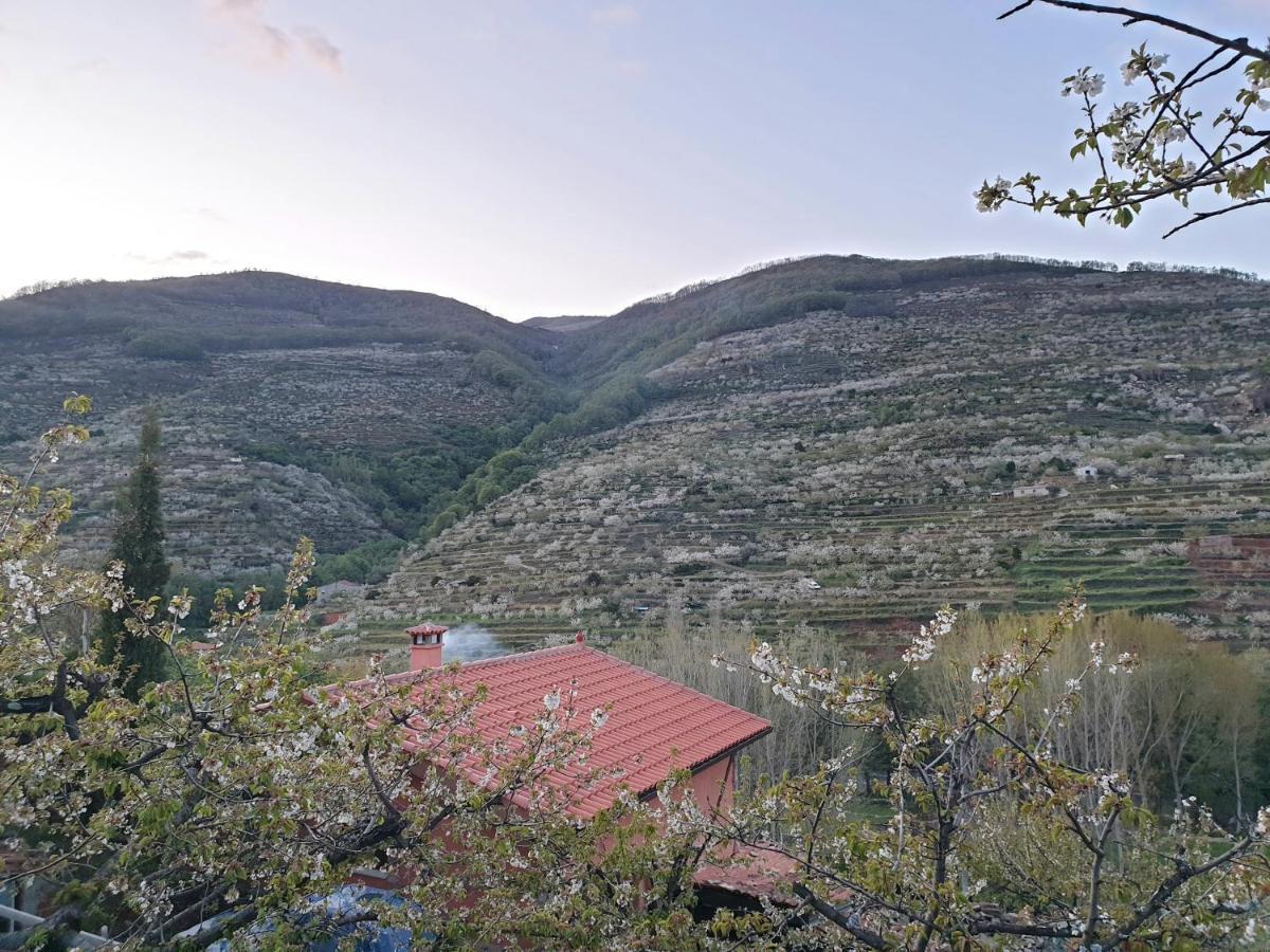 Casas Rurales El Cerro Y El Cerezo Navaconcejo Exteriör bild